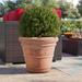 Winston Porter Amayia Resin Pot Planter Plastic in Brown | 17.25 H x 20 W x 20 D in | Wayfair 449A073428544268A8C12BCD1414F134