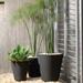 Crescent Garden Resin Pot Planter Plastic in Black | 48.5 H x 48.5 W x 48.5 D in | Wayfair A1112594