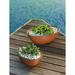 Crescent Garden Delano Resin Pot Planter Plastic in Brown | 10 H x 30 W x 21.1 D in | Wayfair A547644