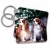 3dRose Two Blenheim Cavalier King Spaniel - Key Chains, 2.25 by 2.25-inch, set of 2