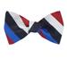 Men's Blue and Navy Silk Stripe Self Tie Bowtie Tie Yourself Bow Ties