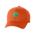 St Patrick's Day Fitted Hat, Four Leaf Clover Flex Fit Baseball Hat - Clover & Dublin