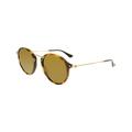 Ray-Ban Women's Round Fleck RB2447-1160-49 Gold Sunglasses