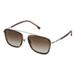 SUNGLASSES - POLARIZED FASHION SUN GLASSES LOZZA HAVANA SILVER MEN SL2291M 579Y