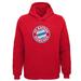 Bayern Munich Youth Primary Logo Pullover Hoodie - Red