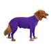 EleaEleanor Clearance Dog Recovery Suit Abdominal Wound Protector Puppy Medical Surgical Clothes Post-Operative Vest Pet After Surgery Wear Substitute E-Collar & Cone