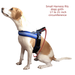 Outdoor Dog Harness with LED chest lights reflective chest seams fast slip adjustable clip no choke / no-pull design for control over extra small (XS) small medium large & extra large(XL) dogs