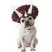 Triceradog Pet Costume