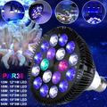 Gadvery Full Spectrum LED Aquarium Light Bulb Fish Tank Spot Lighting Bulb for Fish Tank Coral Reef Saltwater Tank Plants Growth