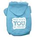 Mirage Pet You Go Fetch Screen Print Pet Hoodies Baby Blue Size Lg