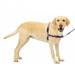 PetSafe Easy Walk No-Pull Leash Training Dog Harness Large Deep Purple