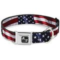 buckle-down seatbelt buckle dog collar - american flag vivid close-up - 1 wide - fits 9-15 neck - small