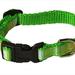 Sassy Dog Wear STRIPE-GREEN-MULTI1-C Multi Stripe Dog Collar Green - Extra Small