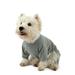 Leveret Dog Cotton Pajama Solid Light Grey XXXL