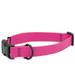 PACKT - Endeavor Waterproof Dog Collars for Large Dogs - Waterproof No Stink Made in USA | Watermelon - Large Dog Collar | Pink Dog Collars for Large Dogs Females | L - XL Dog Collar for Dogs