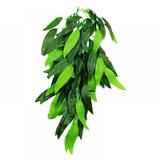 MAGAZINE 12 Inch Pet Plant Reptile Breed Box Wall Hanging Vine Decoration