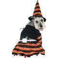 Halloween Witch Dog Costume~Small / Orange/Black/Yellow