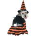 Halloween Witch Dog Costume~Small / Orange/Black/Yellow