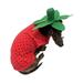 Midlee Strawberry Halloween Dog Costume (X-Large)