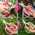 Pruning Shears Floral Shears for Removing Rose Thorn Flower Scissors with Comfortable Handle Garden Shears Clippers Scissors Perfect for Arranging Flowers Fruit Pruning Trimming-Pink