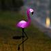 Waterproof Solar Stake Lamp Pink Flamingo LED Light Outdoor Garden Lawn Yard Solar Powered Landscape Decorative Lantern