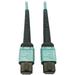 Eaton Tripp Lite Series 400G Multimode 50/125 OM4 Plenum-Rated Fiber Optic Cable 24F MTP/MPO-PC (F/F) Aqua 3 m