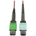 Eaton Tripp Lite Series 400G Multimode 50/125 OM4 Plenum Fiber Optic Cable 16F MTP/MPO-APC to 24F MTP/MPO-UPC (F/F) Magenta 1 m