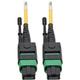 Eaton Tripp Lite Series MTP/MPO (APC) Singlemode Patch Cable (F/F) 12 Fiber 40/100 GbE QSFP+ 40GBASE-PLR4 Plenum Push/Pull Tab Yellow 3 m (10 ft.)