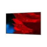 NEC Display 55 Wide Color Gamut Ultra High Definition Professional Display