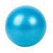 Summark Exercise Balls for Women 9.84 inch Core Ball Barre Workout Mini Yoga Pilates Ball Small Stability Balls Physical Therapy Rubber Ball Pump Fitness Gym Equipment