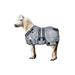 Derby Originals Nordic Tough Closed Front 420D Water Resistant Winter Mini Horse and Pony Stable Blanket 200g Medium Weight