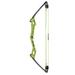 Bear Archery Apprentice Youth Bow Set Featuring 6-13.5 lb. Draw Weight and 13- to 24-inch Draw Length Range and 27â€� Axle-to-Axle Right-Handed Bow with Composite Limbs