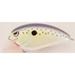 Spro SFJ60CMT John Crews Fat John 60 Crankbait 2 3/8 5/8 oz Cell