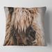 Designart 'Portrait Of Fluffy Curly Llama' Farmhouse Printed Throw Pillow