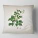 Designart 'Vintage London Plants VIII' Farmhouse Printed Throw Pillow