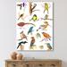 East Urban Home Vibrant Colored Birds Plancard - Print on Canvas Canvas, Wood in Brown/Green | 20 H x 12 W x 1 D in | Wayfair