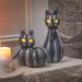 The Holiday Aisle® 2 Piece Pumpkin Cat Decorations Home Accent Set in Black | 13.9 H x 12 W x 7.5 D in | Wayfair 04534996B95947FB949D37B2EEEDD2D0