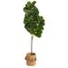 5.5' Fiddle Leaf Fig Artificial Tree in Handmade Natural Jute Planter with Tassels