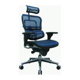 Eurotech Seating Ergohuman Mesh Managers Chair