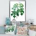 East Urban Home Leaves Plants II - Picture Frame Print on Canvas Metal in Green | 32 H x 16 W x 1 D in | Wayfair C85F816C03834568B7E1774427432F66