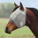 Crusader Fly Mask - Standard - Without Ears - Without Ears - Large Pony/Yearling - Smartpak