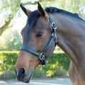 SmartPak Soft Padded Leather Halter - Cob - Black/Hunter - Smartpak