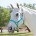 SmartPak Breakaway Halter - Horse - Turquoise - Smartpak