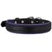 SmartPak Soft Padded Leather Dog Collar - X - Large - Black/ Purple - Smartpak