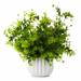 Enova Home 14 inches Artificial Mixed Greenery Foliage Fake Plants in White Ceramic Pot for Home Garden Decoration - N/A