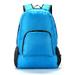 Unique design 20L Foldable Men Women Waterproof Backpack Lightweight Solid Color Travel Camping Hiking Trekking Bags School Bag