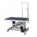 Electric Z-Lift Professional Grooming Table, 23.6" L X 36" W X41.3" H, 23.6 IN