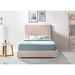Latitude Run® Kehly Low Profile Platform Bed Upholstered/Velvet in Pink | Queen | Wayfair B1FBBB9DDC7F4D6895819FB6259CD8F0