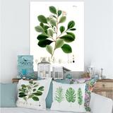 East Urban Home Vintage Botanicals IV - Painting on Canvas Metal in Green | 32 H x 24 W x 1 D in | Wayfair FA9D2DF3A3864C31BE6678CA3913D80B