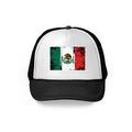 Awkward Styles Mexico Flag Hat Mexican Trucker Hat Mexico Baseball Cap Amazing Gifts from Mexico Mexican Soccer 2018 Hat Mexico 2018 Hat for Men and Women Mexican Flag Snapback Hats Mexico Gifts